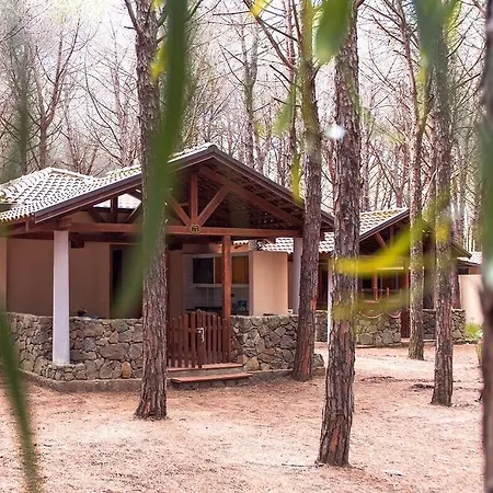 Villaggio Camping Pineta Mare *