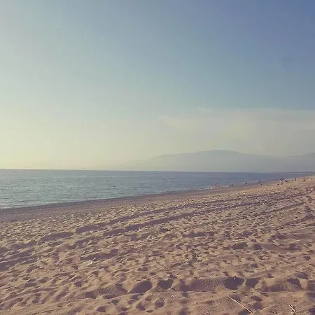 Villaggio Camping Pineta Mare *